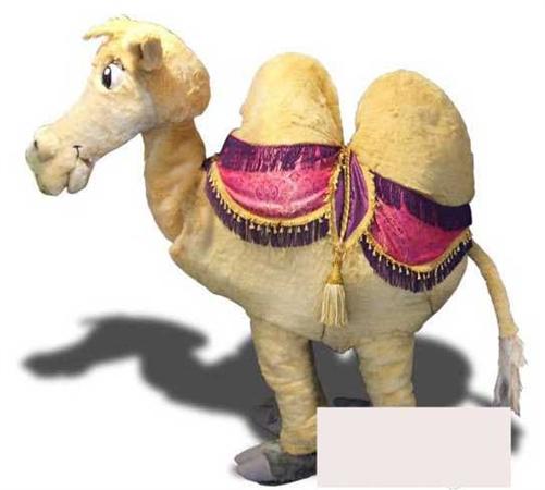 DROMEDAIR 2 PERSONEN