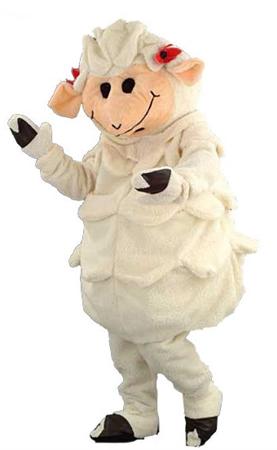 MASCOTTE-SCHAAP