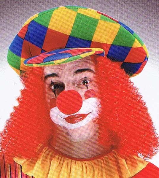 CLOWNPET MET HAAR