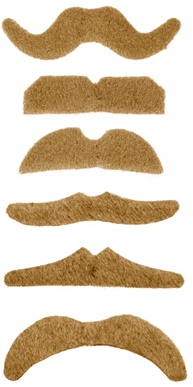 SNOR EPOQUE GEEL ASSVAN 6