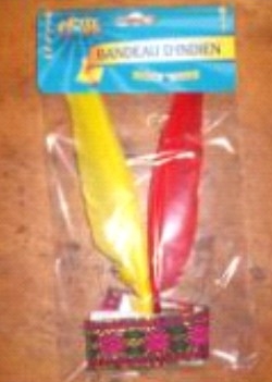 INDIAAN BAND 2PLUIMEN