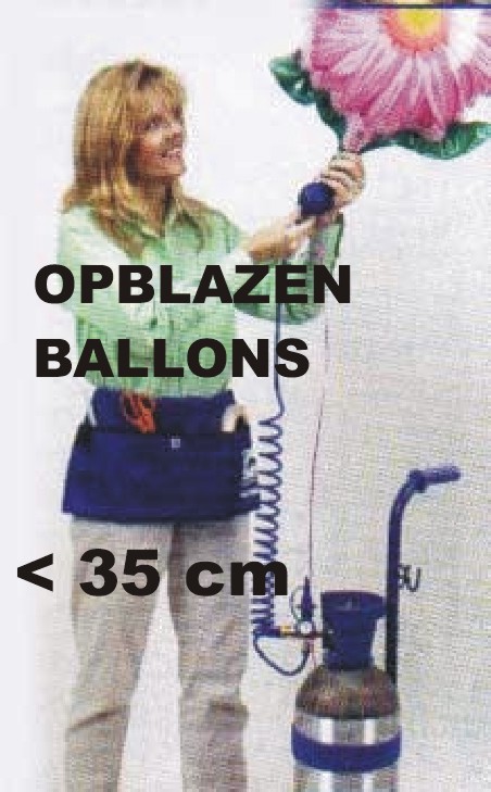 OPBLAZEN BALLON 31CM