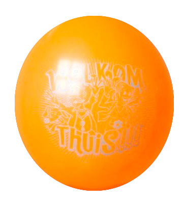 BEDRUKT WELKOM THUIS 25CM/8ST