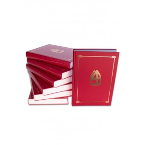 SINTERKLAAS BOEK MET 360PAG