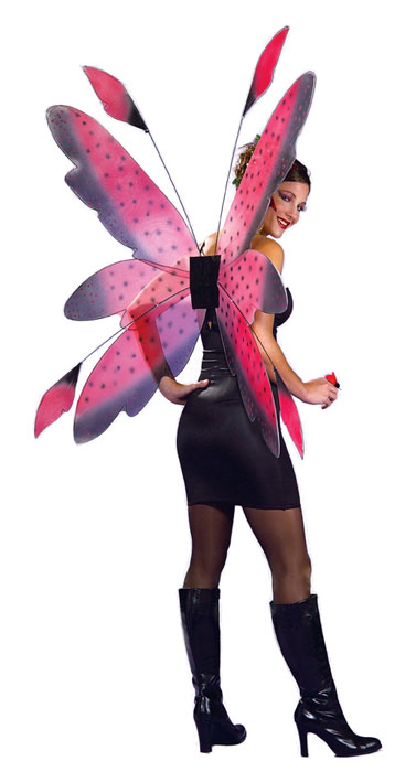 VLEUGELS RED BUTTERLY