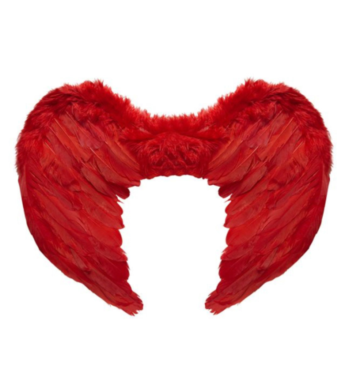 VLEUGELS PLUIMEN ROOD OF WIT OF MULTI COLOR