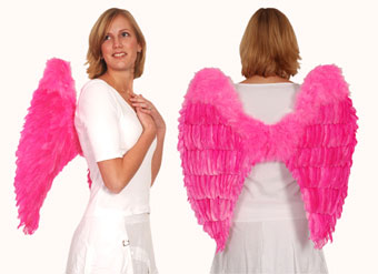 VLEUGELS PLUIM PINK*