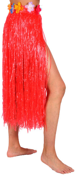 HAWAI MULT KLEUREN ROK