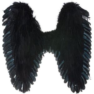 ZWARTE VLEUGELS 65OP65CM