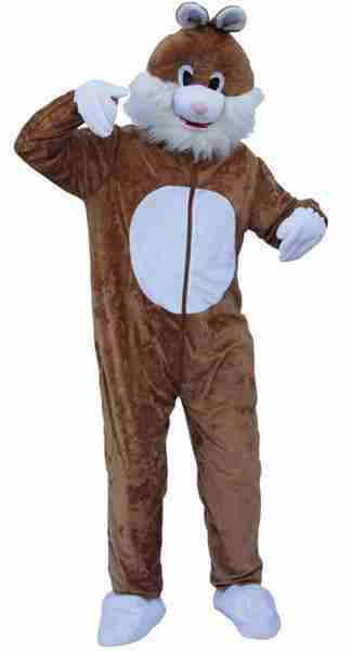 PAASHAAS GROOT BRUIN