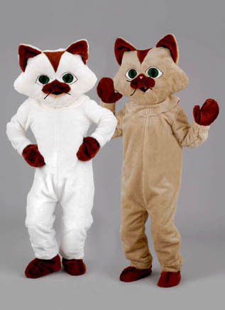 MASCOTTE KAT PROMO BRUIN