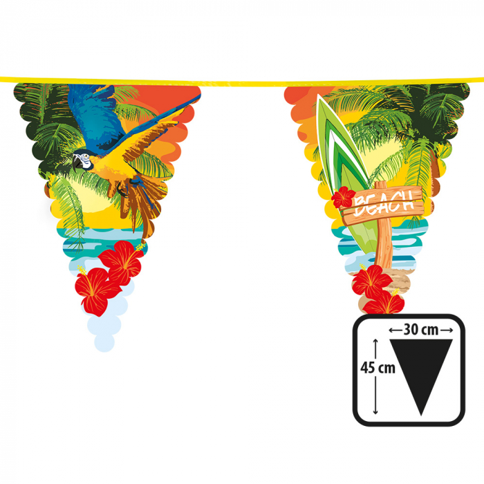 VLAGGENLIJN BEACH 6M