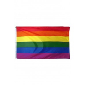 VLAG RAINBOW 90*150CM