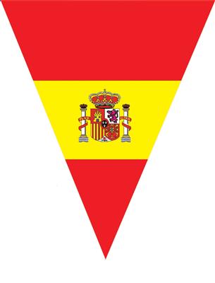 VLAGLIJN PUNT SPANJE 5M