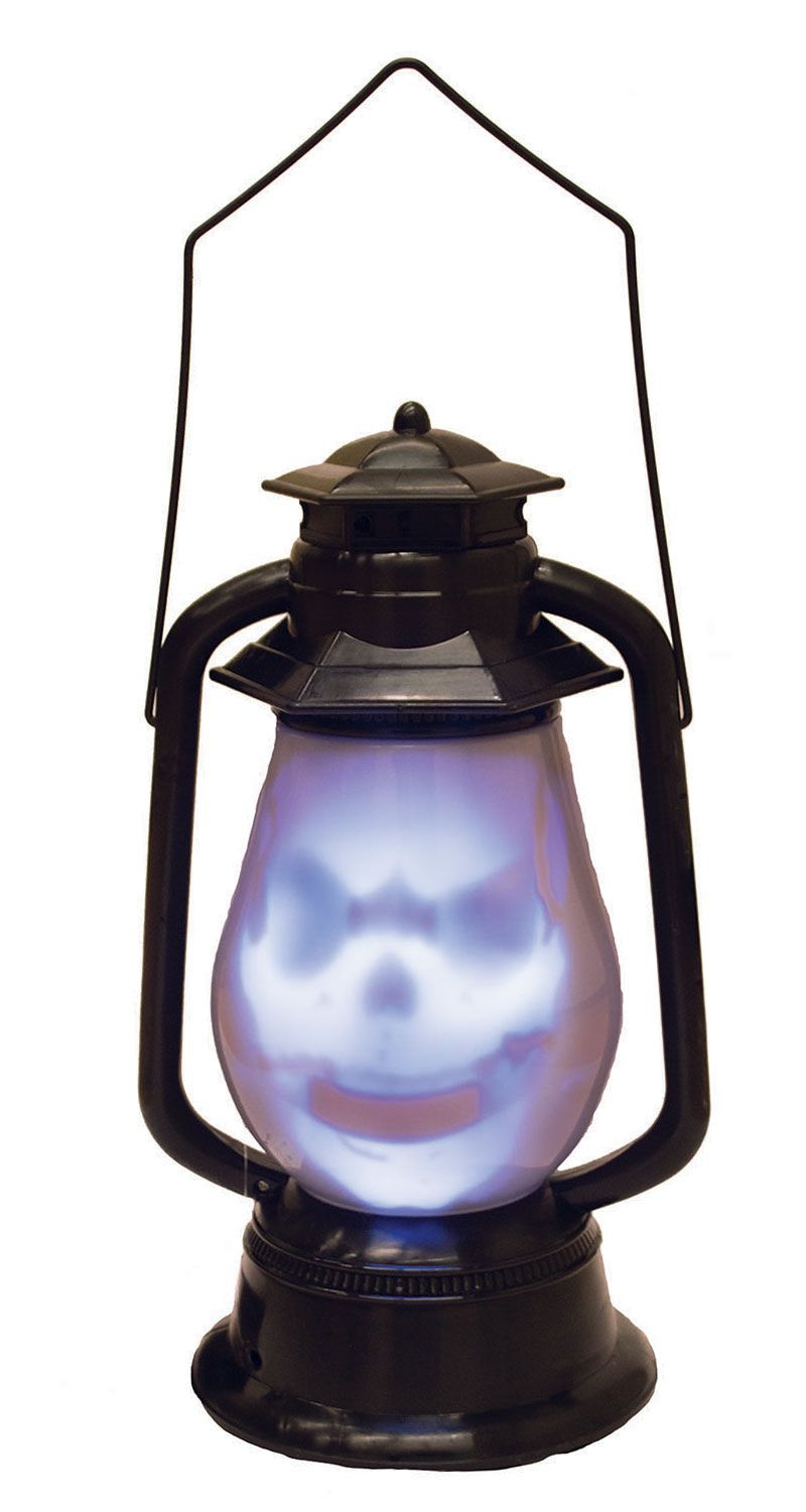 LAMP 30 CM MET LICHT