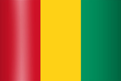 VLAG GUINEE - GUINEE 90X150CM