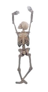 SKELET 90CM