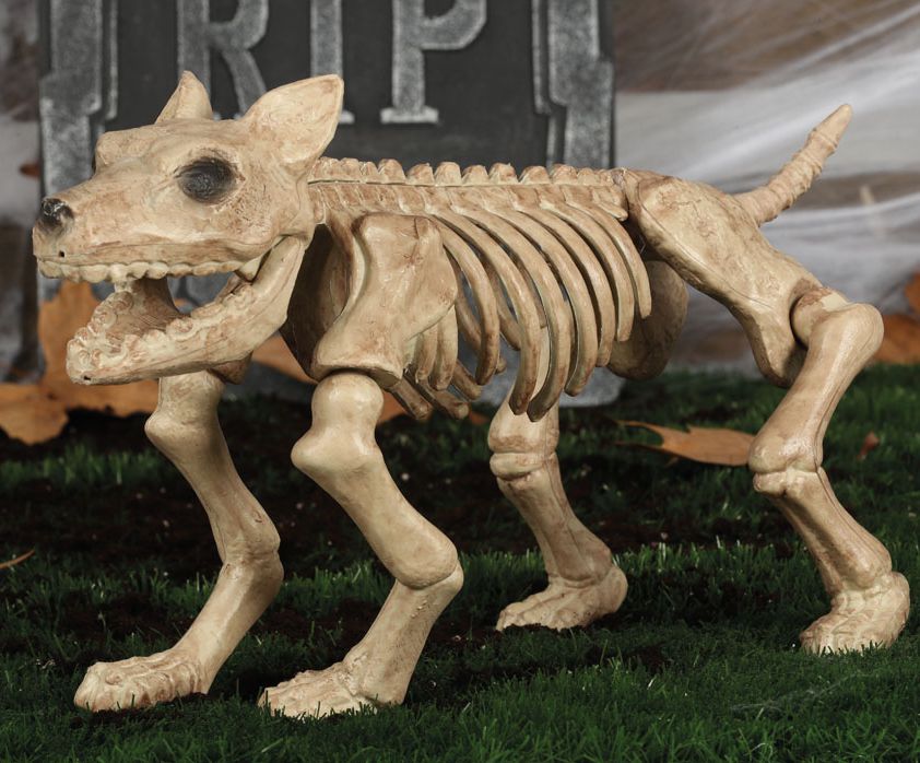 DOG SKELETON 46CM