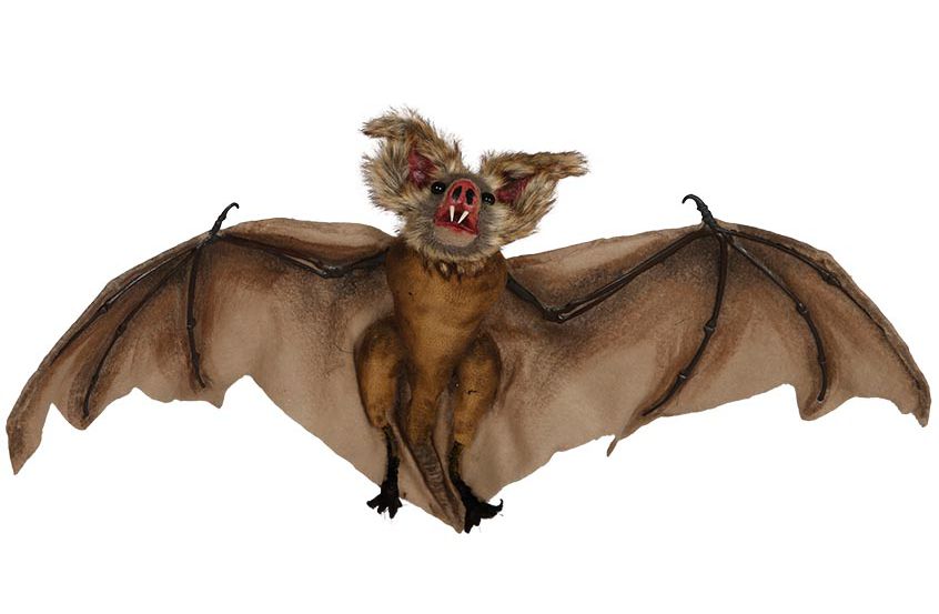 CHAUF SOURIS 60CM