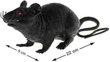 RAT 22CM