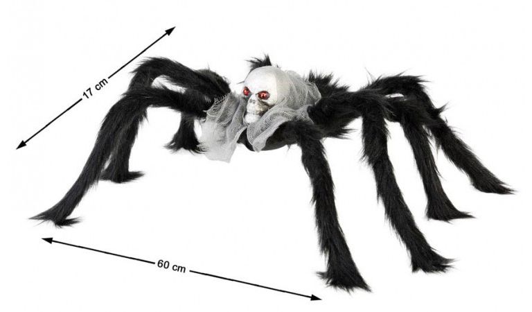 SPIN DOODSHOOFD 60/17CM