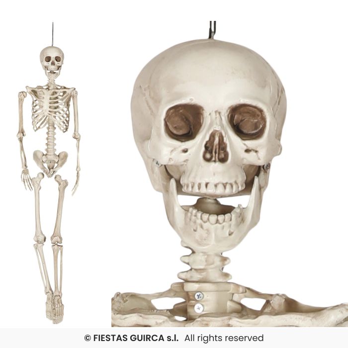 SKELETON 160CM