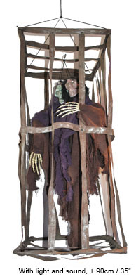 TWEELING IN KOOI 90CM