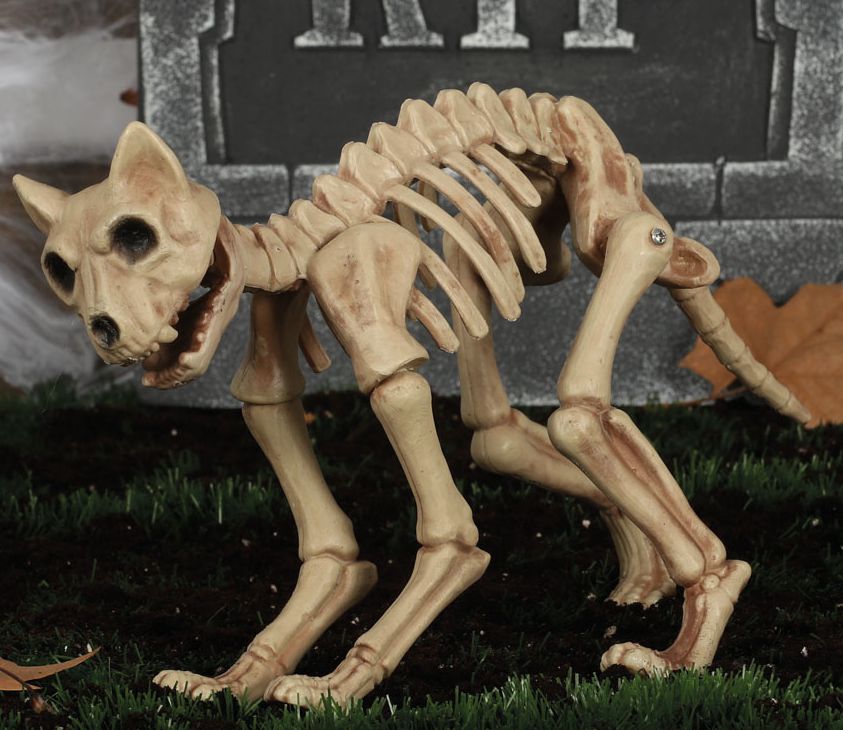 CAT SKELETON 32CM ECL