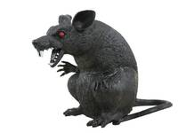 RAT 18CM