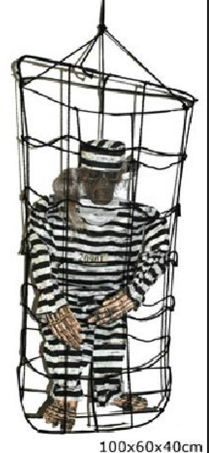 GEVANGENE IN KOOI 120CM