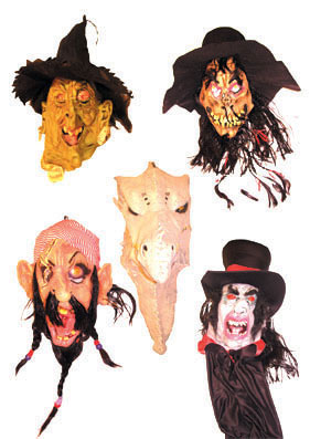 MASKERS GROOT 5 VERSCHILLENDE EC