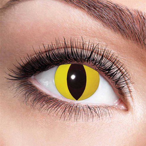 3MAANDLENZEN YELLOW CAT