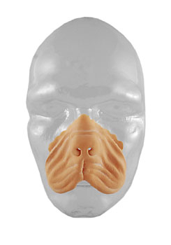 SET HONDEN SNUIT 303