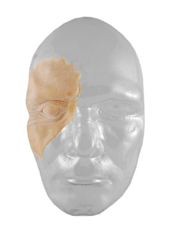 SET QUASIMODO OOG 405