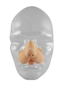 SET KATTEN SNUIT 302