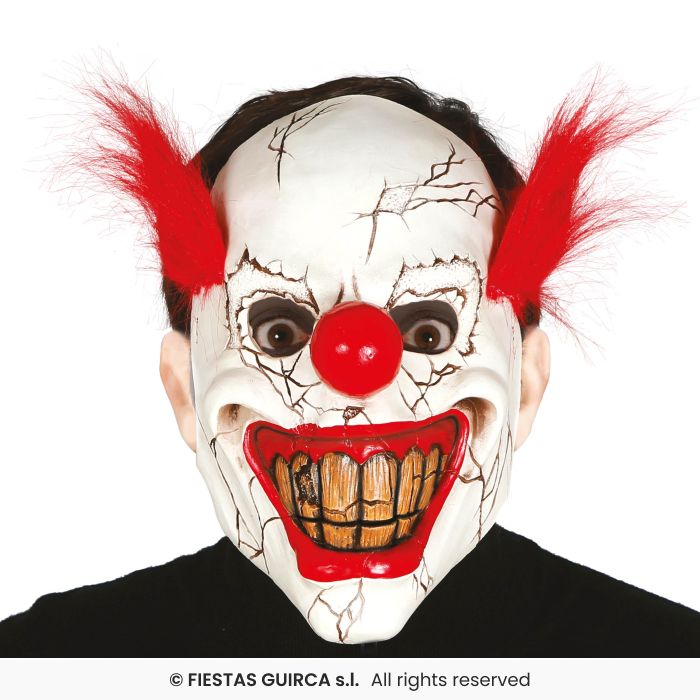 MASK CLOWN MET HAAR
