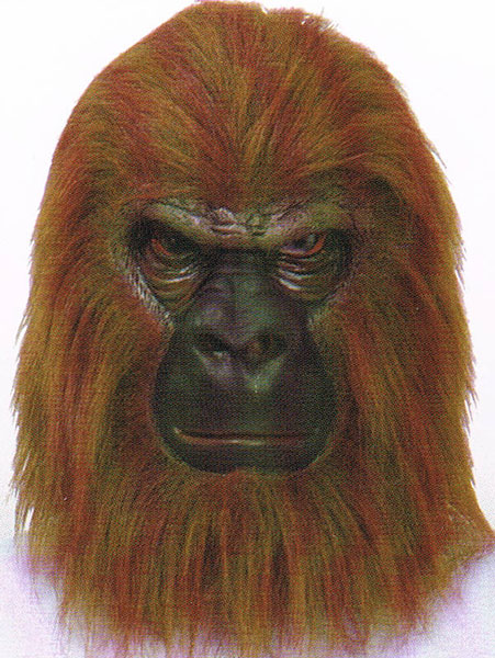 DIER RUBBERMASKER AAP