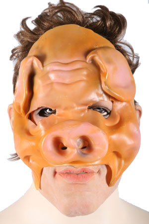 DIER VARKEN HALF MASKER